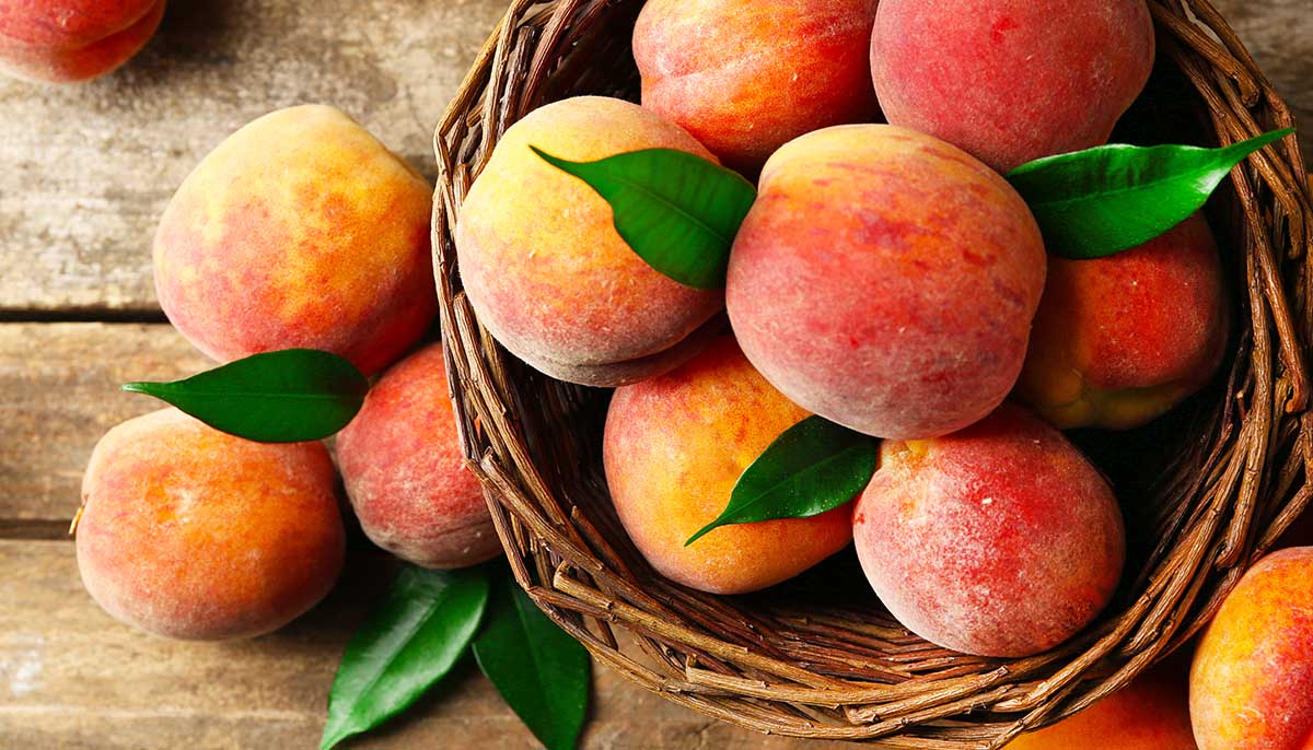 Warning: Major National Produce Recalls