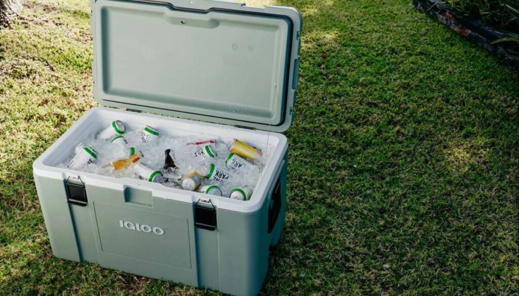 Cooler with drinks