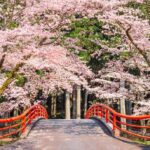 Best Travel Destinations in Japan